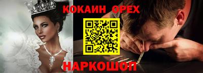 крисы Новозыбков