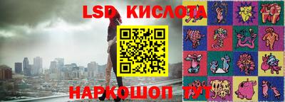 винт Новокубанск
