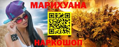 крисы Новозыбков