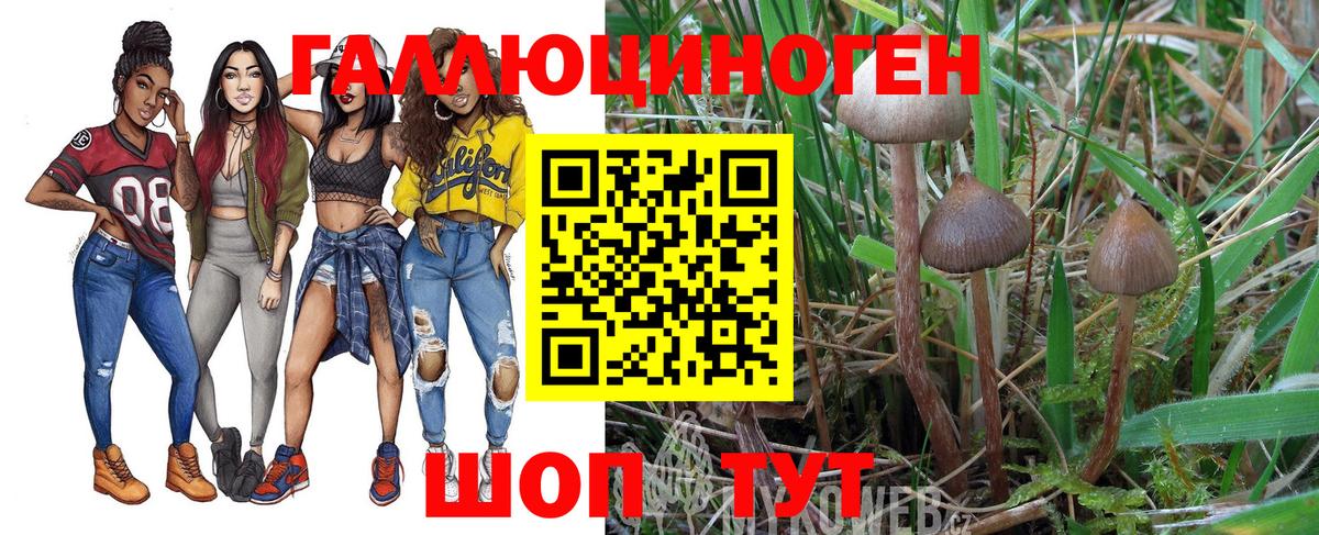 Галлюциногенные грибы GOLDEN TEACHER Туймазы