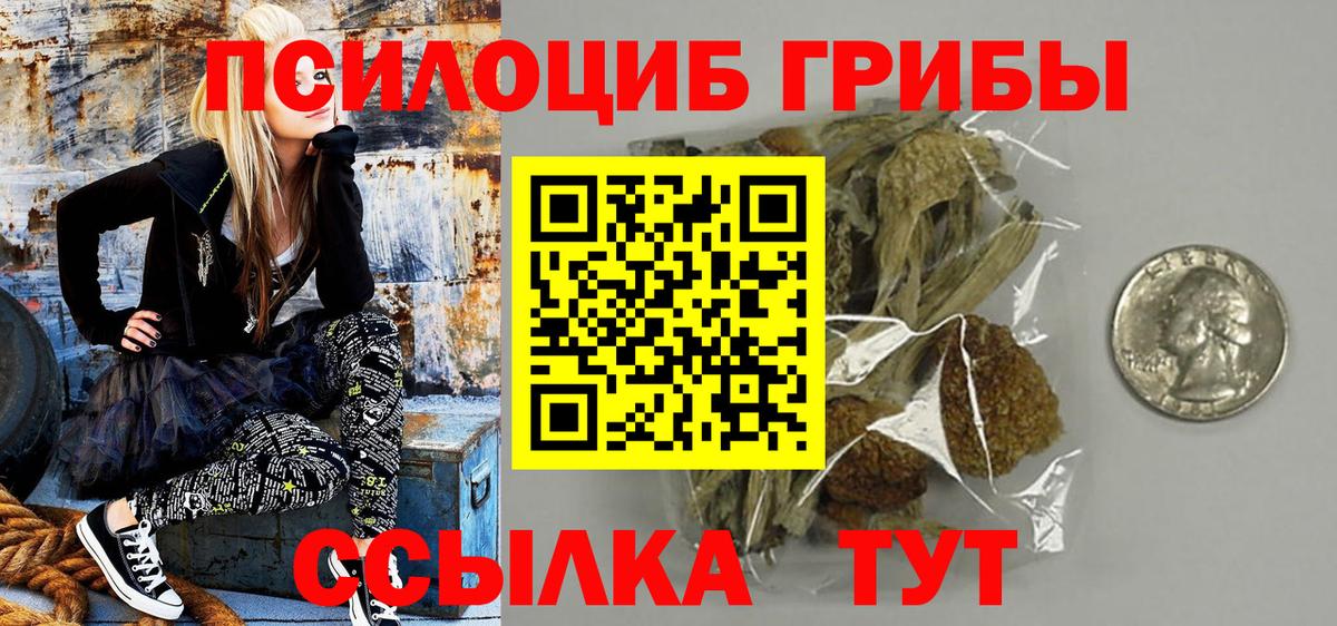 Туймазы  Псилоцибиновые грибы прущие грибы  Вход с VPN 