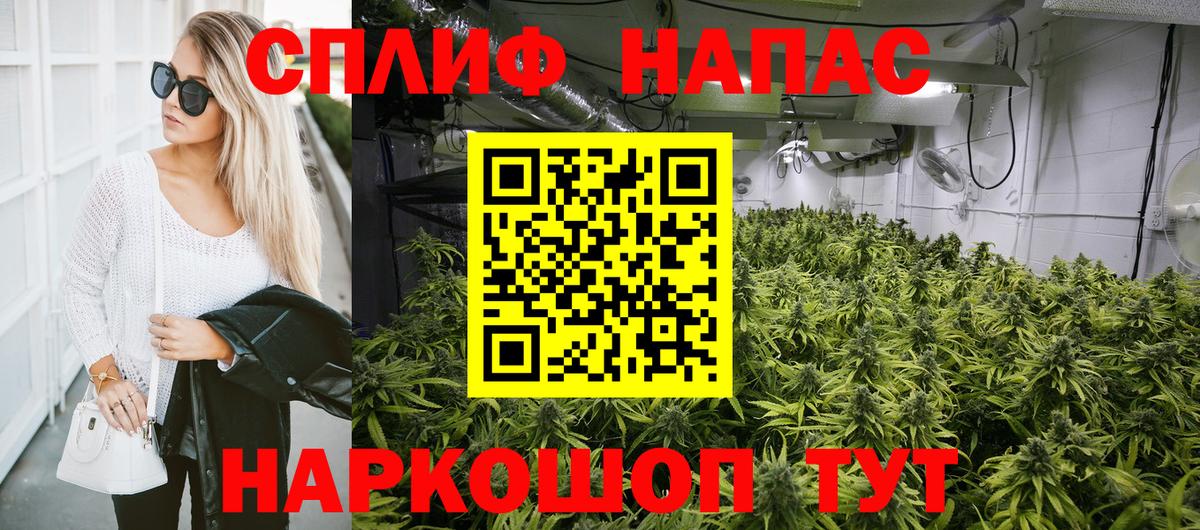 МАРИХУАНА сатива Туймазы